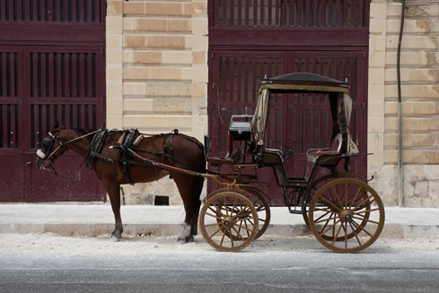 vintage photograph of a horse and buggy