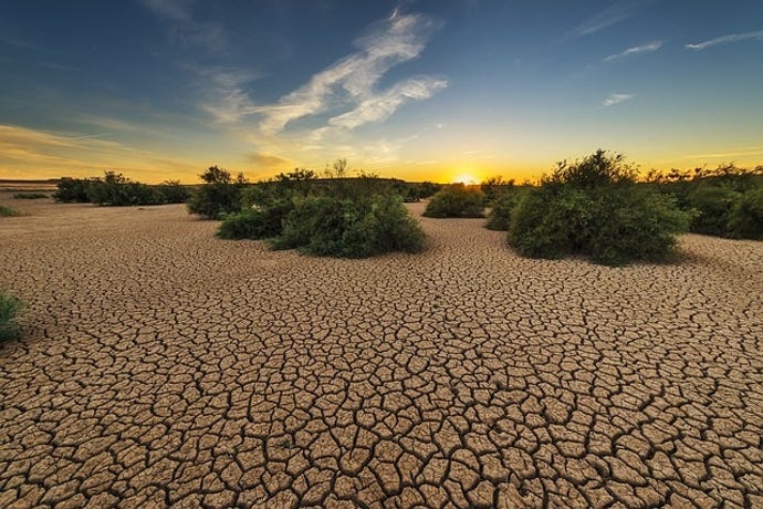 scene of a landscape that is dried out from lack of water