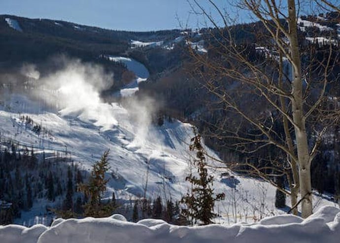 beautiful dusty snow swirling up off a skislope, with pinetrees in foreground, mountain in background